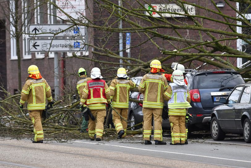 Tief Eberhard ließ ein Baum am Amtsgericht Herne-Wanne umstürzen.
