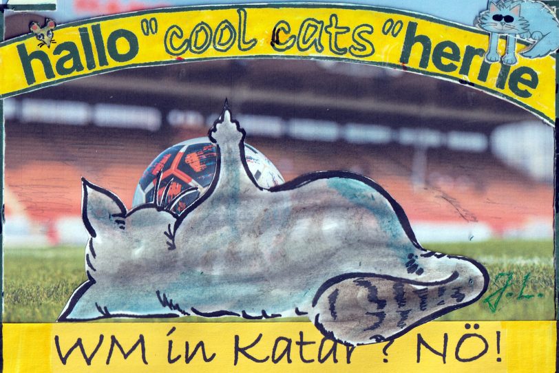 Die Cool Cats zur WM 2022 in Katar: Ein klares Nö!