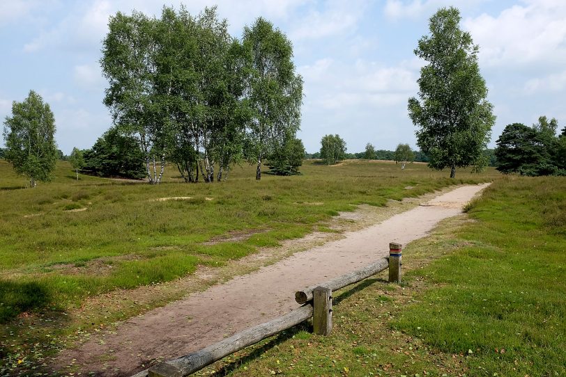 Naturschutzgebiet Westruper Heide