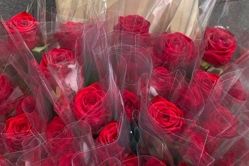 Die Islamische Gemeinschaft Herne verteilte rote Rosen an Passanten in der Wanner City.