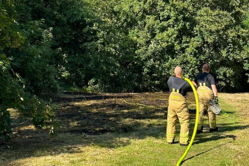 Die Feuerwehr musste am Freitag (7.7.2023) zu einem Flächenbrand im Waldgebiet im Bereich Hölkeskampring / Im Uhlenbruch ausrücken und dort den Brand löschen.