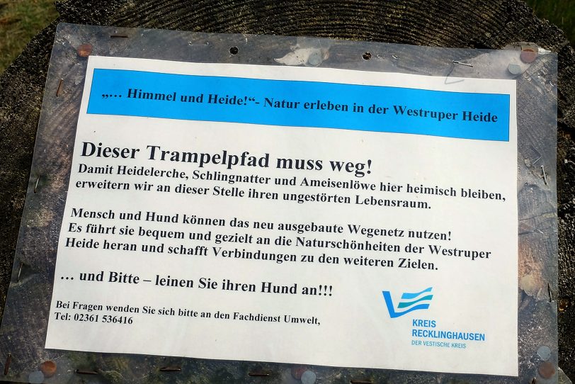 Naturschutzgebiet Westruper Heide