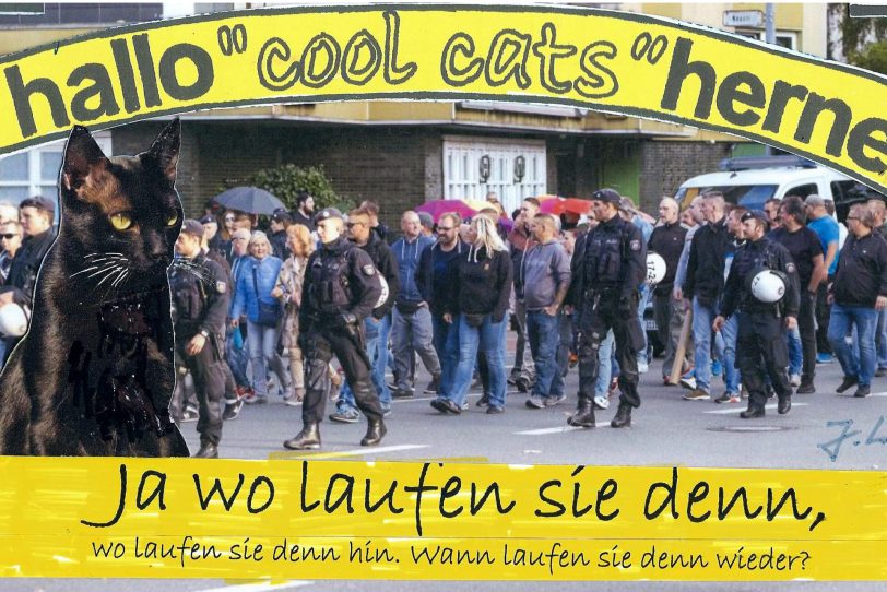 Die Cool Cats wundern sich: Wo laufen sie denn?