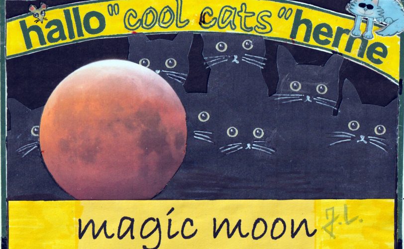 Nachts sind alle Cool Cats grau - und bei einer Mondfinsternis leuchten nur die Augen.