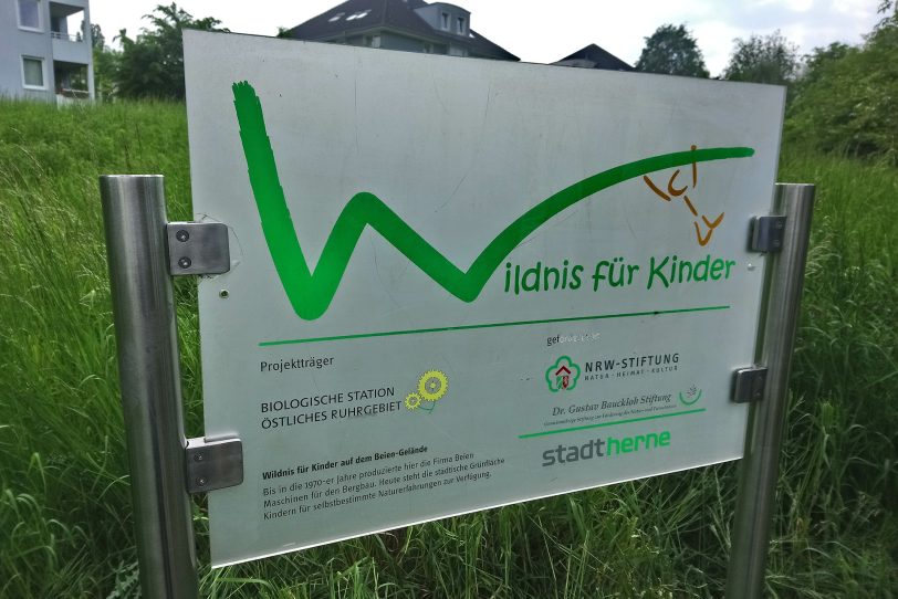 Wildnis für Kinder - Das Schild.