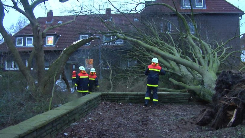 Das Tief Eberhard entwurzelte am Sonntag (10.3.2019 )mehrere Bäume im Stadtgebiet.