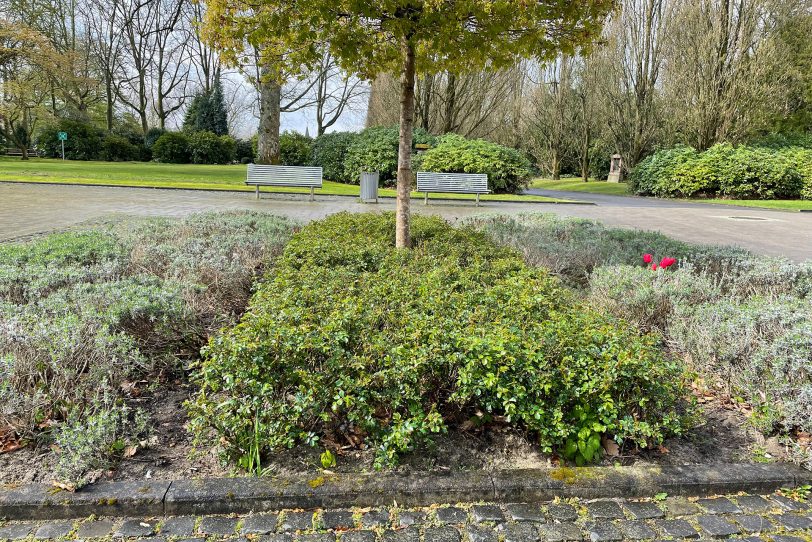 Genau gegenüber der Trauerhalle vom Südfriedhof, dort wo sich viele Wege kreuzen, können Besucher mit den Zeitschenkern die Gespräche führen.