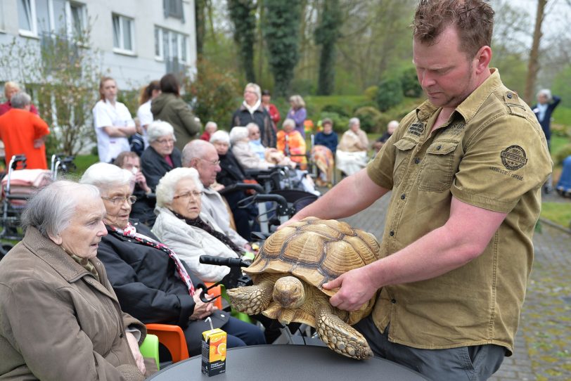 Rundgang mit der Riesenschildkröte.