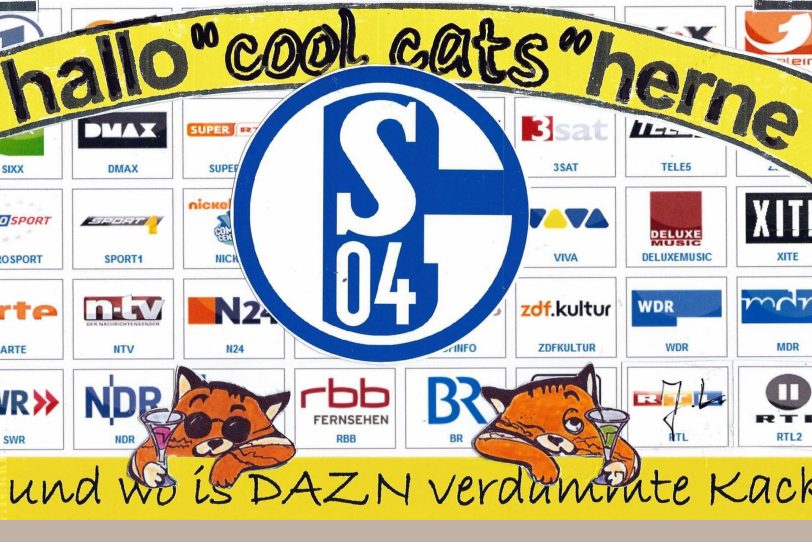 Die coolcats sind sauer! Sie würden gerne das Schalke-Spiel im Fernsehen kucken.