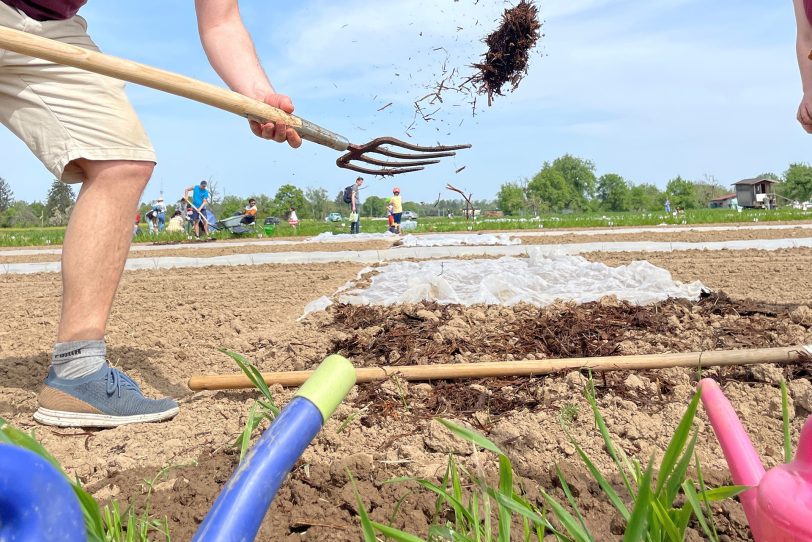 Die Mietgartensaison 2025 ist auch in Herne gestartet.