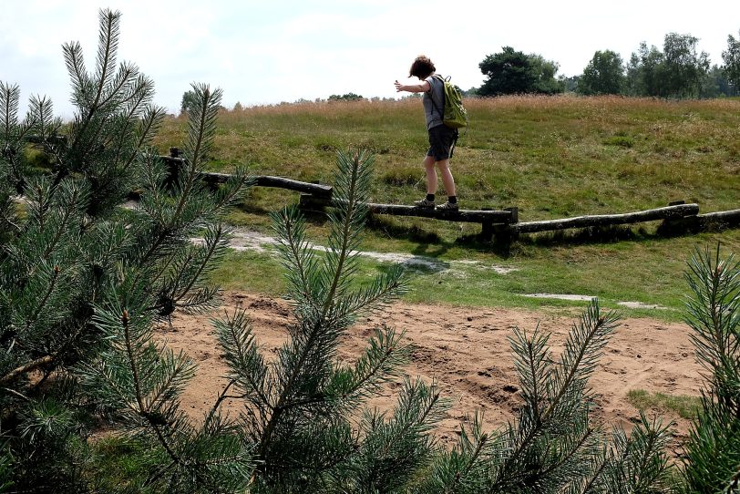 Naturschutzgebiet Westruper Heide