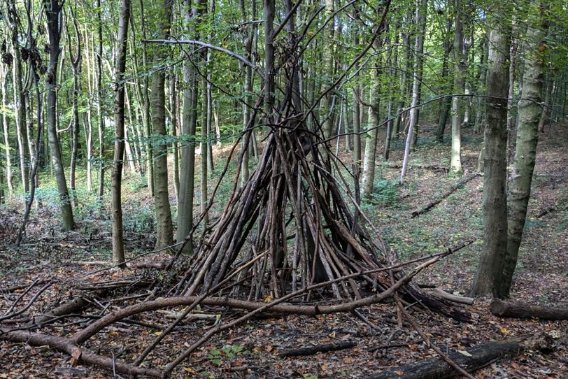 Diese Äste sind nicht zur Feuerstelle aufgeschichtet, sondern als Iglu für die Wald-Kinder gedacht.