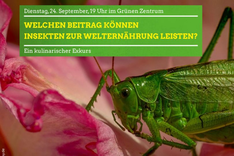 Insekten essen mit den Grünen.