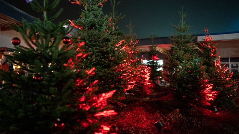 Wewole Adventsmarkt 2022. An zwei Tagen lockt der Wewole Adventsmarkt in die Gärtnerei an der Nordstraße. Hier Eindrücke am Abend.