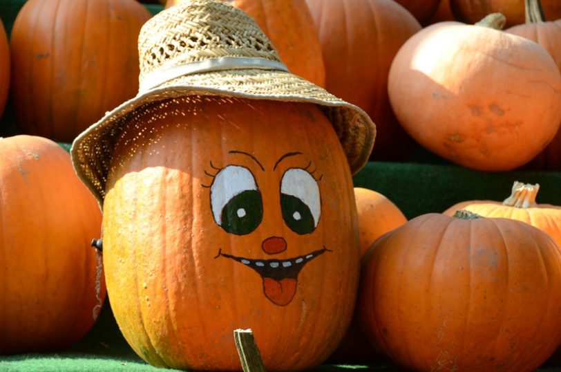 Kürbis zu Halloween.