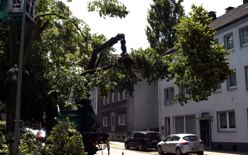An der Wiescherstraße.