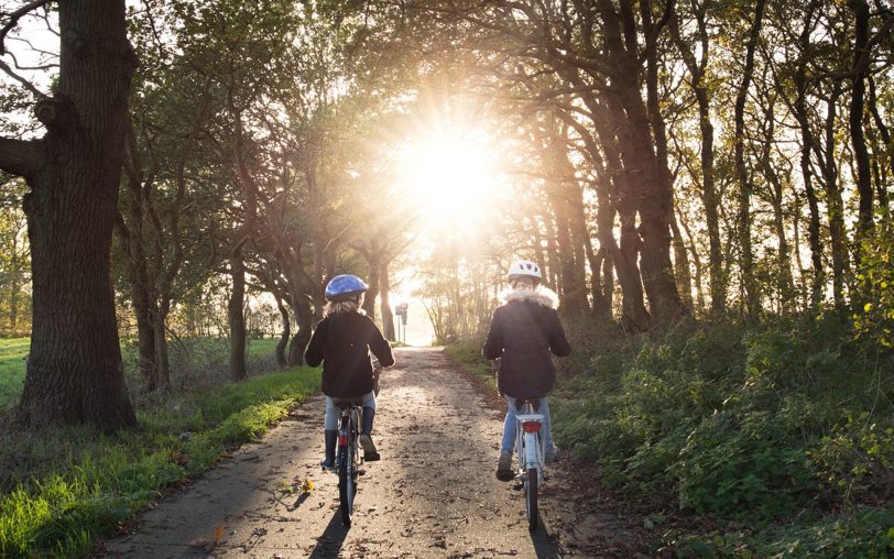 Zwischen Hamm und Soest wird die 42 Kilometer lange Route komplett für den Autoverkehr gesperrt und zum Radweg umgewandelt (Symbolbild).