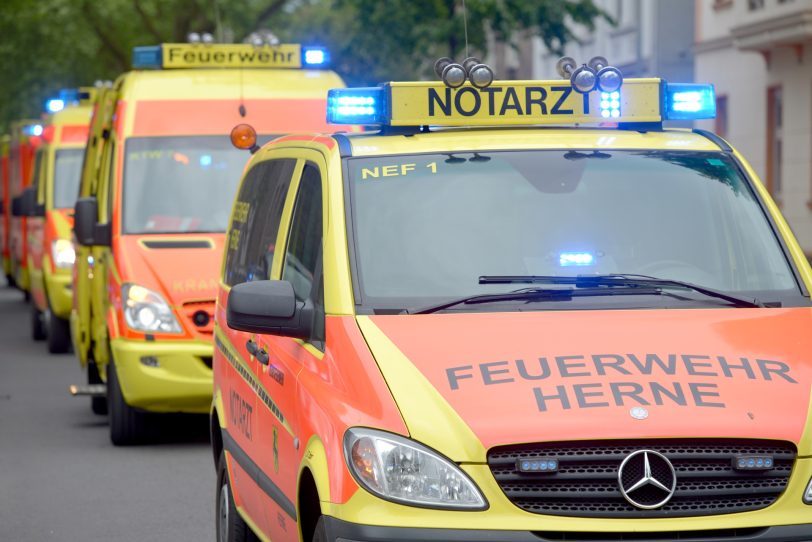 Spinne löst Verkehrsunfall aus.