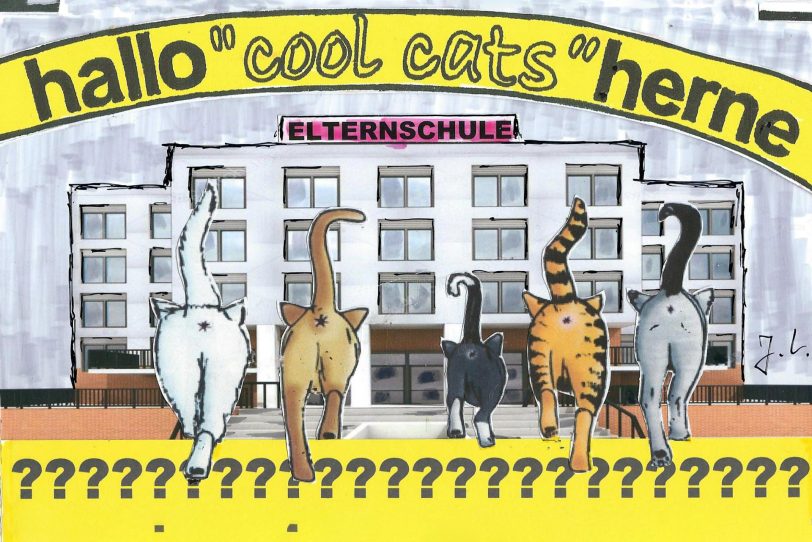 Hüh oder Hott - die coolcats fragen sich: 