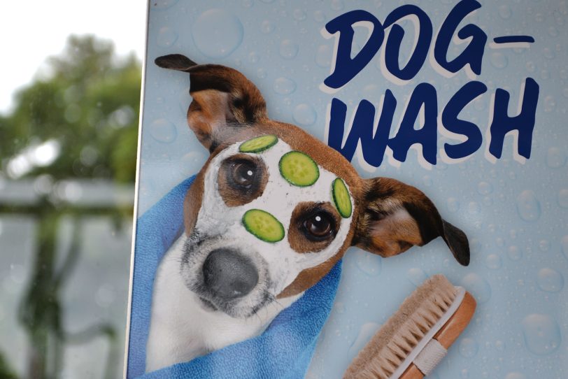 In Wanne-Eickel gibt es die erste Hundewaschanlage auf dem Gelände des Autowaschcenters Klaeser an der Dorstener Straße.