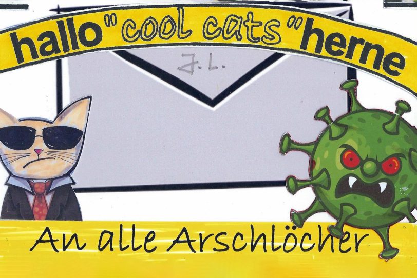 Nicht nur unsere Cool Cats sind sauer auf die Corona-Ignoranten und Maskenverweigerer.