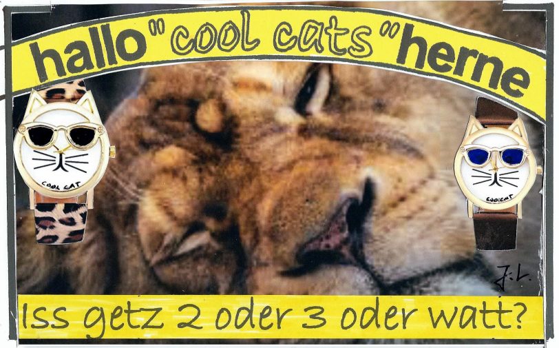 Die halloherne Cool Cats zur Zeitumstellung.