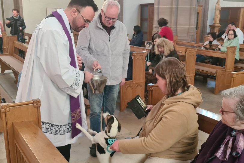 Tiersegnung im April 2025in der Herz Jesu Kirche.