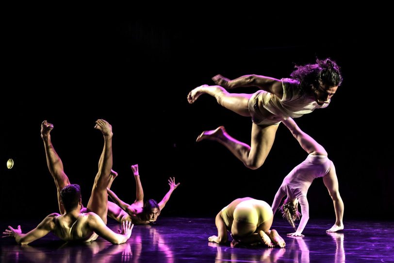 „The Harmonica Orchestra of Life“: Yu-Chi Chen, Tanit Cobas, Alessio Monforte, Pablo Navarro Muñoz, Hilla Regev Yagorov und Eleonora Robson vereinen sich zur zentralen Choreographie des „Kometen“-Abends am MiR.