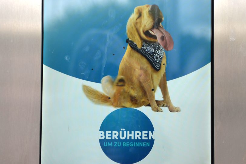In Wanne-Eickel gibt es die erste Hundewaschanlage auf dem Gelände des Autowaschcenters Klaeser an der Dorstener Straße.