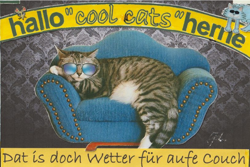 Kunstkater 'Simba' antwortet dem Winterblues mit einer Lichttherapiebrille.