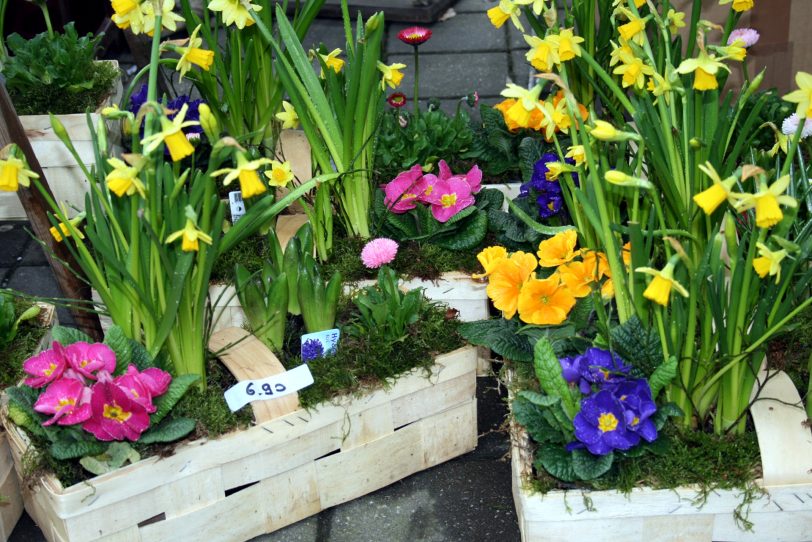 Blumenmarkt in Recklinghausen.