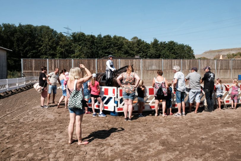 Pferdemarkt auf Gut Steinhausen.