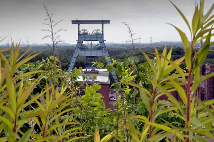 Blick auf Ewald von der Halde Hoheward.