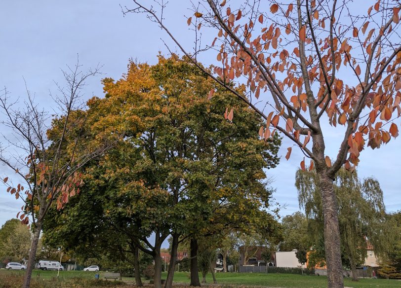 Herbst: Bei einem mehr, beim anderen weniger.