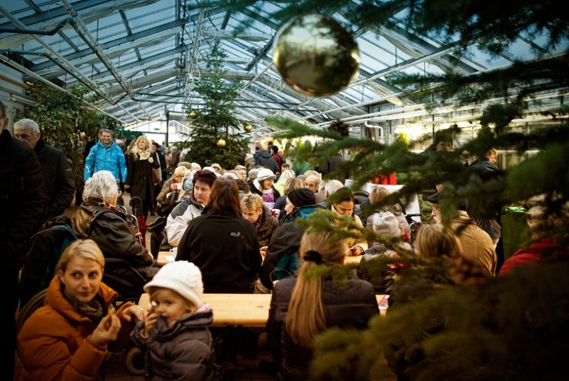 Adventsmarkt WfB