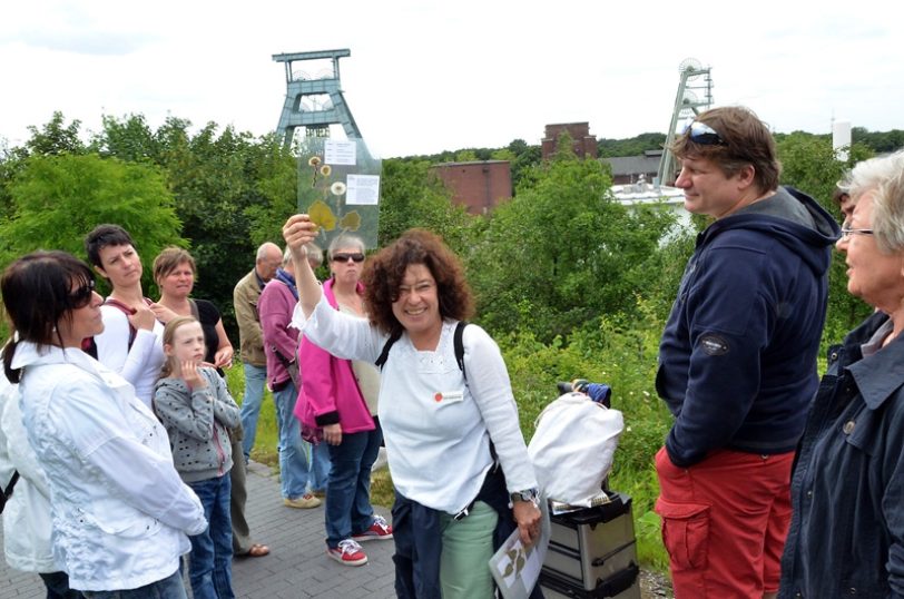 Kräuterexpedition auf der Halde mit Anke Roßmannek.