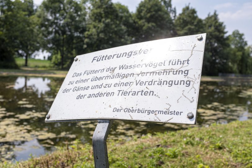 Ein Fütterungsverbot, an dass sich viele nicht halten.