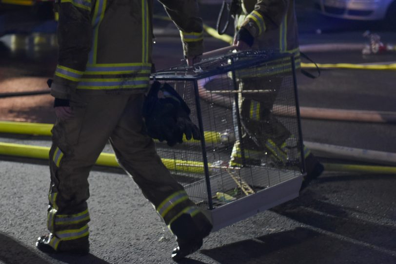 Dachstuhlbrand an der Jobststraße.