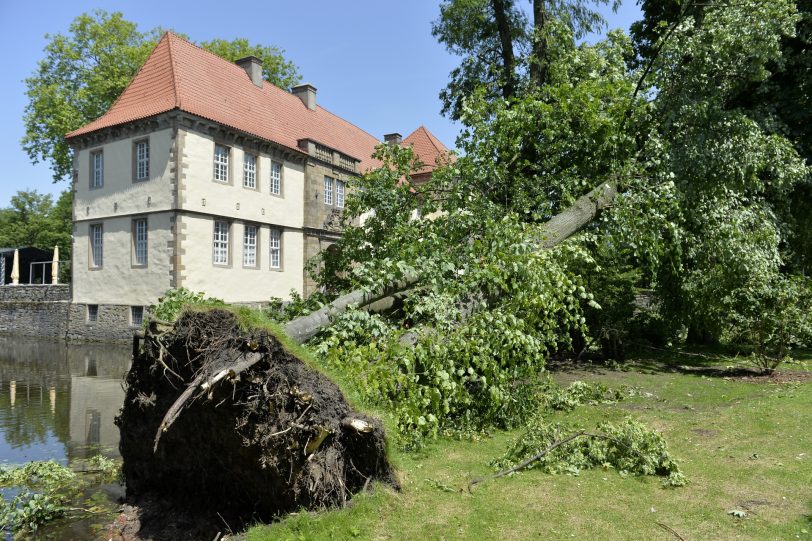 Sturmschäden in Herne.