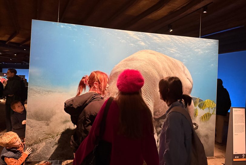 Mitglieder des Turnvereins Röhlinghausen und die Muslimische Jugend Röhlinghausen besuchten die Ausstellung Planet Ozean im Gasometer Oberhausen.