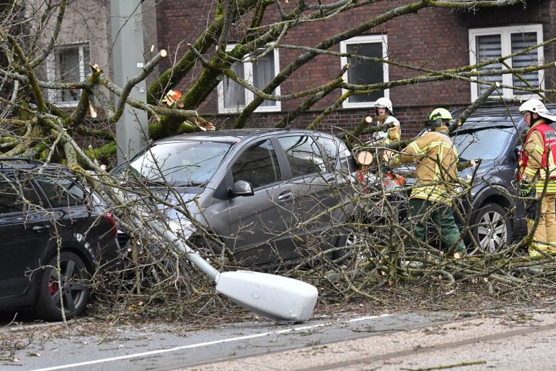 Umgestürzter Baum vor dem Amtsgericht.