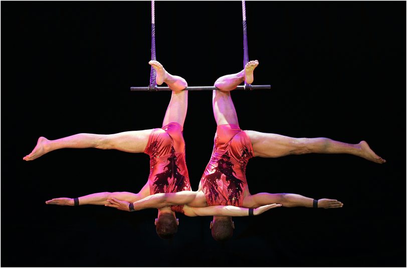 Das Roncalli-Programm Salto Vitale.