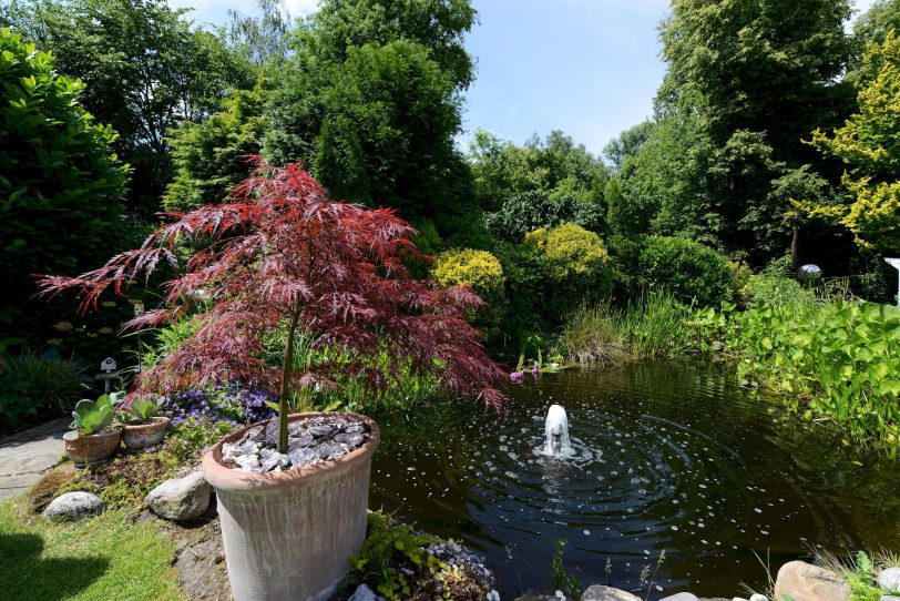 Der Garten von Angelika Hörling.