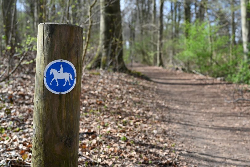 Reiter reiten, daneben biken Biker.