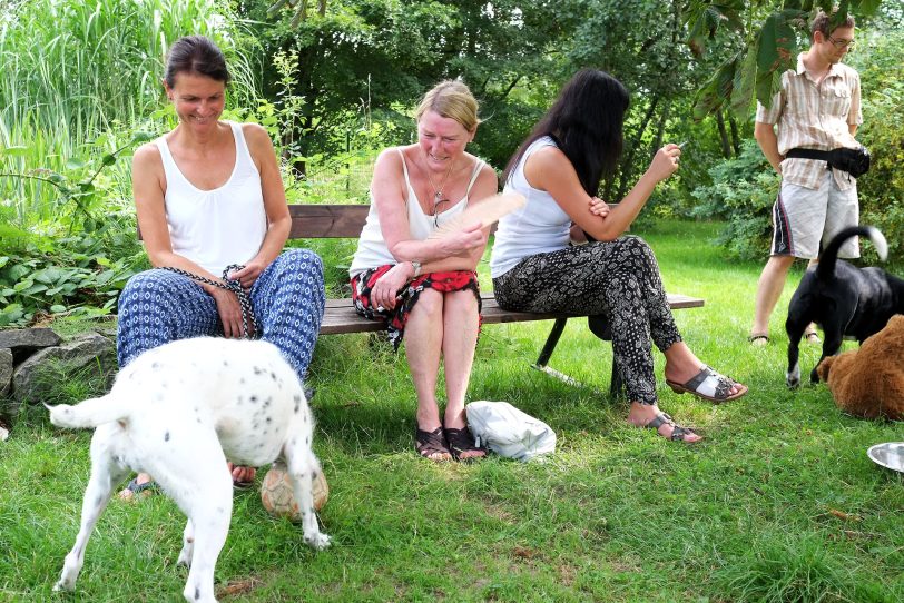 Das Sommerfest im Tierheim bringt Mensch und Tier zusammen.