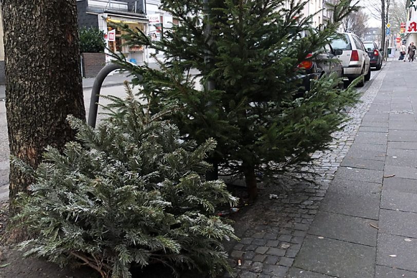 Christbaum-Entsorgung.