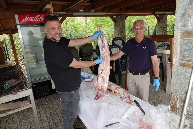 Dreitagesfest der Griechisch-Orthodoxen Gemeinde - Hl. Dimitrios - in Herten Süd 2022.