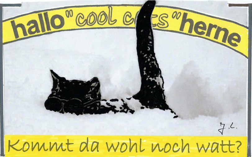 cool cat im Schnee.
