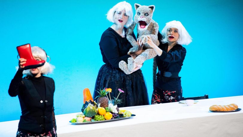 Der gestiefelte Kater im Musiktheater im Revier