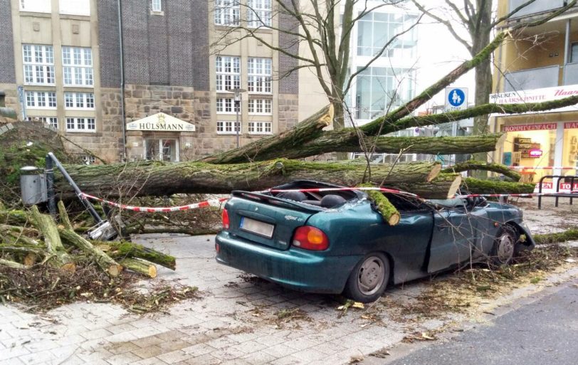 Baum auf Auto am Eickeler-Markt.